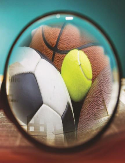 FOCUS ON SPORTS