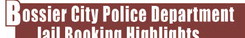 Alt Text for Image