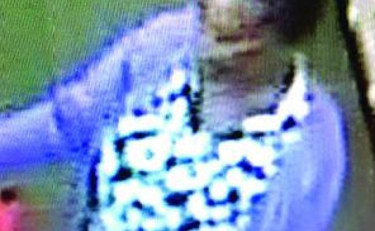 Police searching for woman who stole wallet
