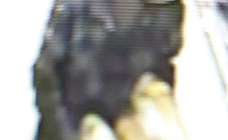 Police seek suspect in theft at Brookshire's