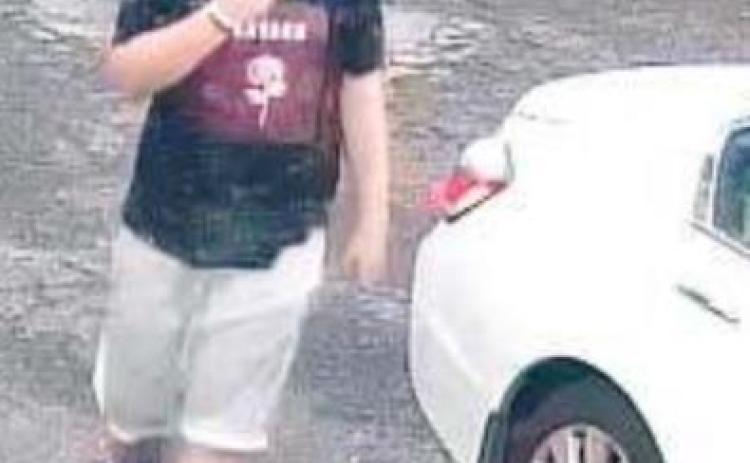 Police seek identity of vehicle thief