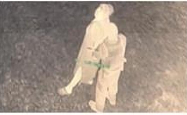 Shreveport Woman Charged with Aiming Laser Pointer at Aircraft Pleads Guilty in Federal Court!