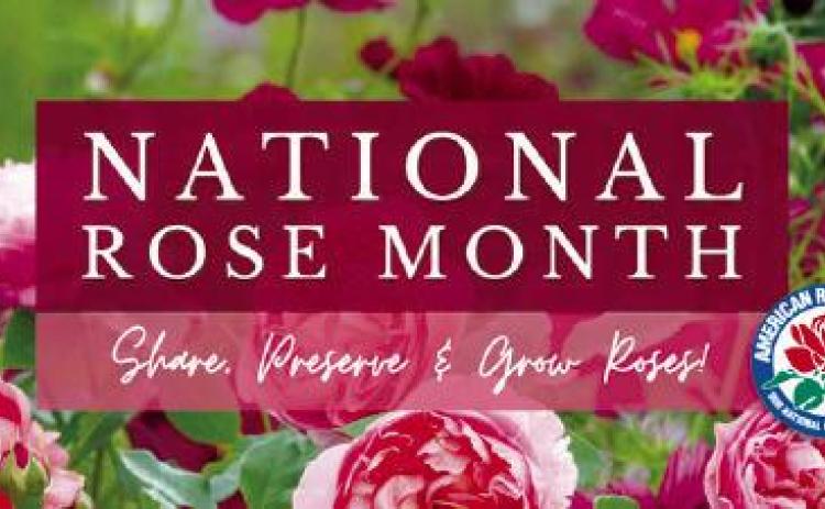 American Rose Society to Celebrate National Rose Month - June 2023