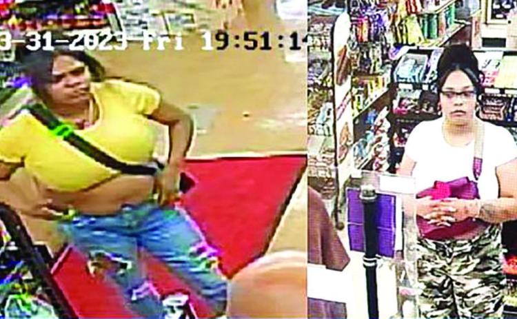 Police seek theft suspect