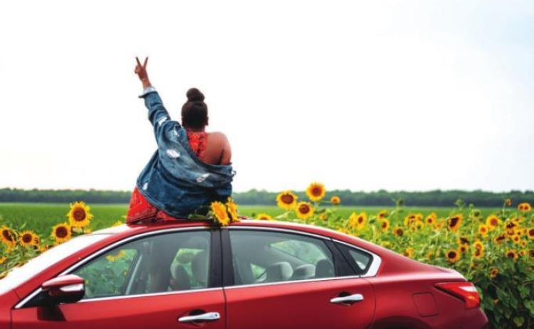 Good news and bad news: Sunflower Trail is happening, Sunflower Festival is not