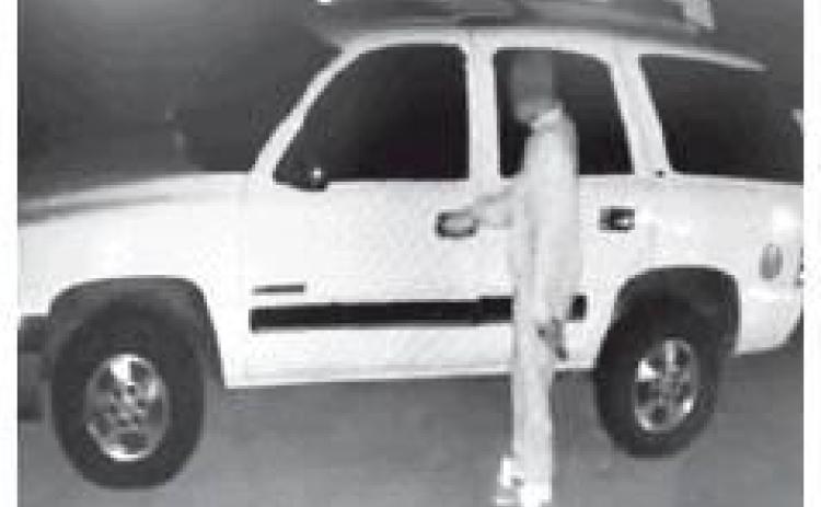 BPSO detectives seeking vehicle burglars