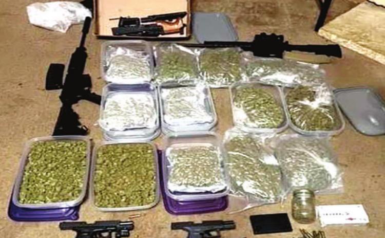 Dog mauling leads to seizure of drugs, gun