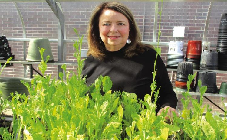 Donna Curtis: Keeping Shreveport clean and green