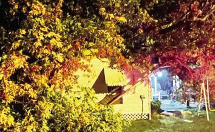 Tree falls on home