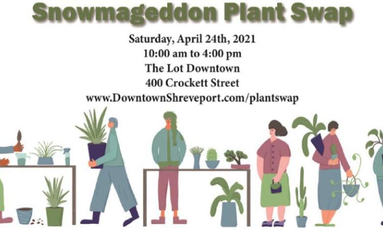 Greening Up Our Community: A Downtown Plant Swap