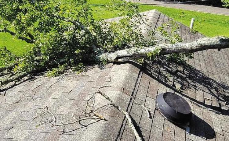 Have Storm Damage? Here’s How to Report It to the State