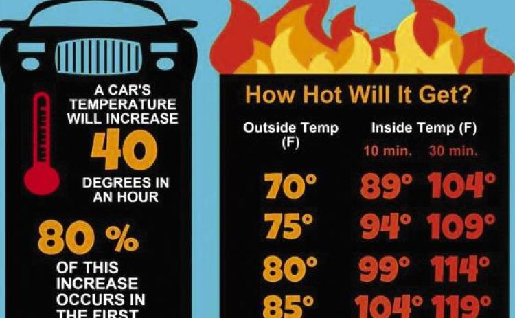 Shreveport Police Rescue Infants from Sweltering Car; Two Arrested for Child Desertion