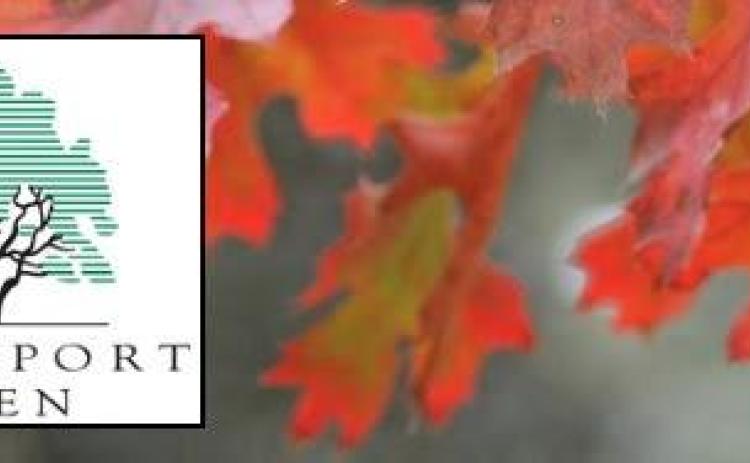 Get your free tree on Nov. 4