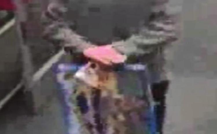 Police seek ID of theft suspect