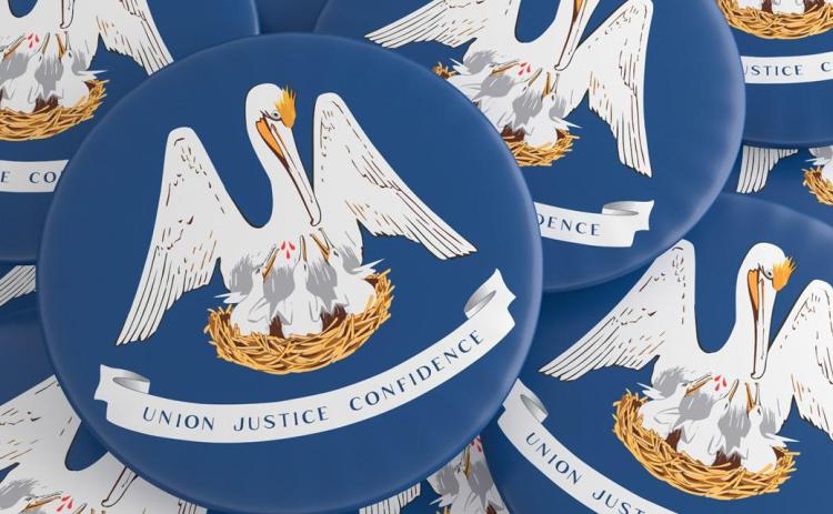Louisiana constitutional amendments on Nov. 8 ballot: Here's what they mean