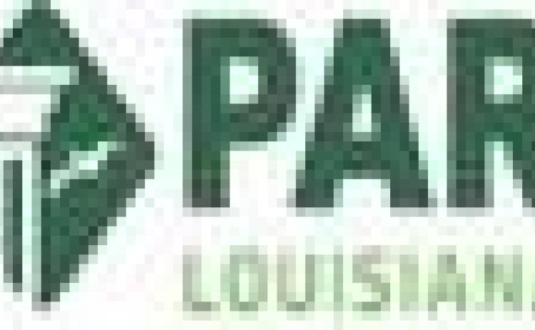 New PAR Commentary: Overhauling Louisiana's Tax Structure!