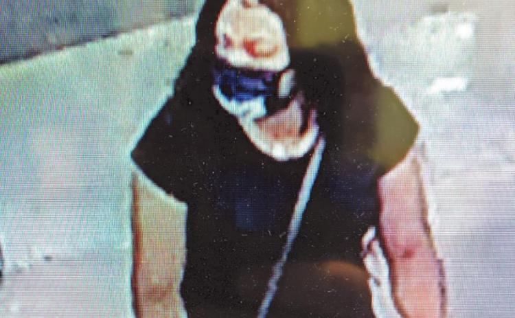Police seek theft suspects