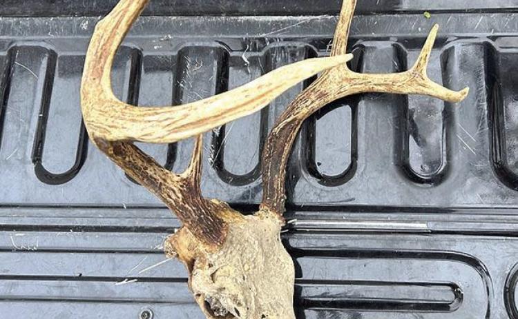 LDWF agents cite Caddo man for deer hunting violations