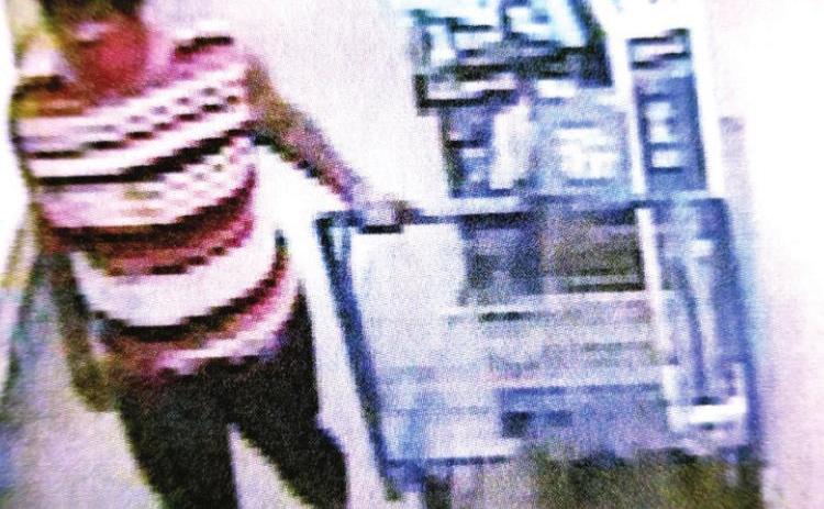 Theft suspect sought