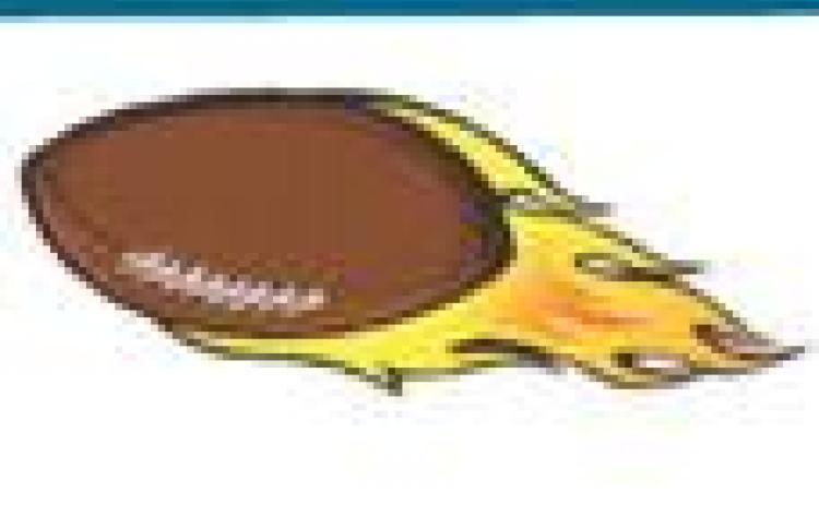 NFL Playoffs set!