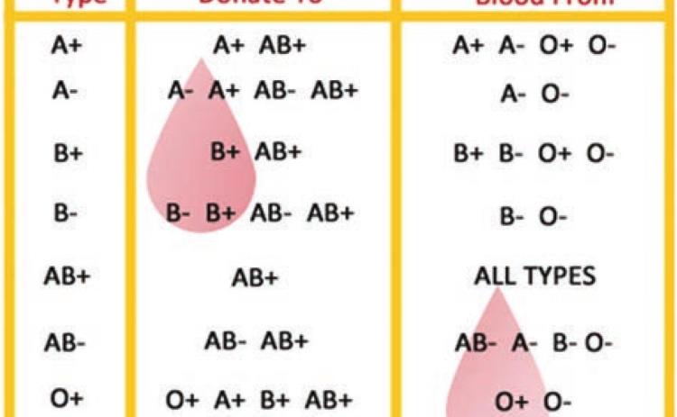 Type AB is vital part of blood donation