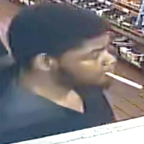 Police seek auto theft suspects