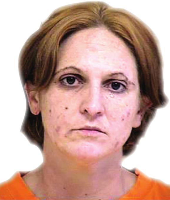 Police arrest holiday porch pirate lady