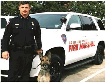 State Fire Marshal K-9 Maily succumbs to longtime illness