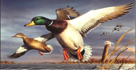 Waterfowl workshop set for N. La