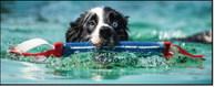 Nation’s Top Dogs Compete at Super Retriever Series Crown Championship in SBC 