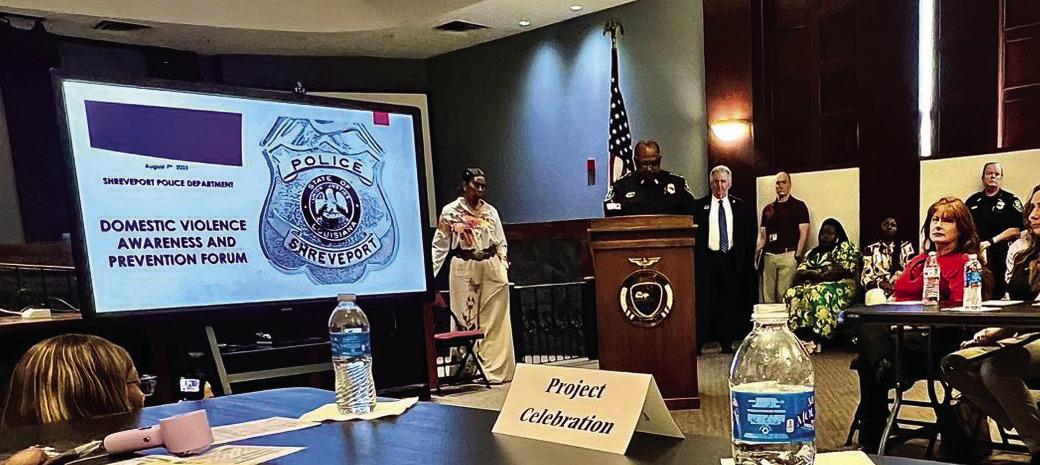 Domestic Violence – A Growing Concern in Our Community