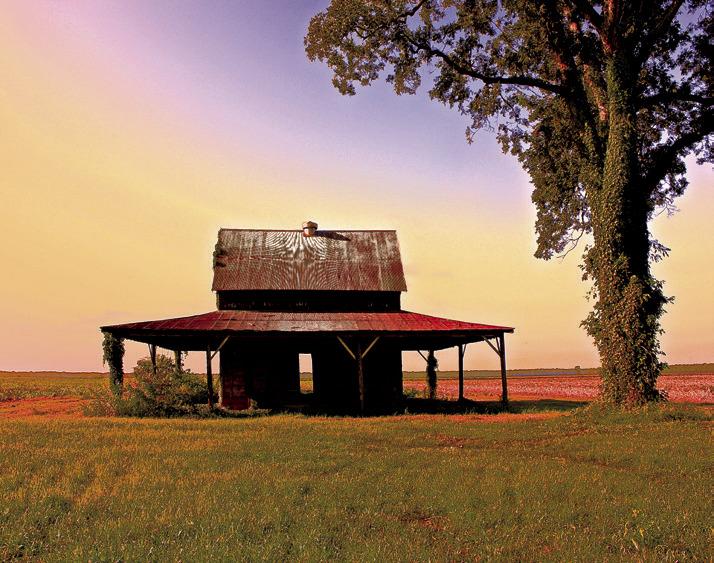 Louisiana State Exhibit Museum to Present Solomon Northup Exhibit