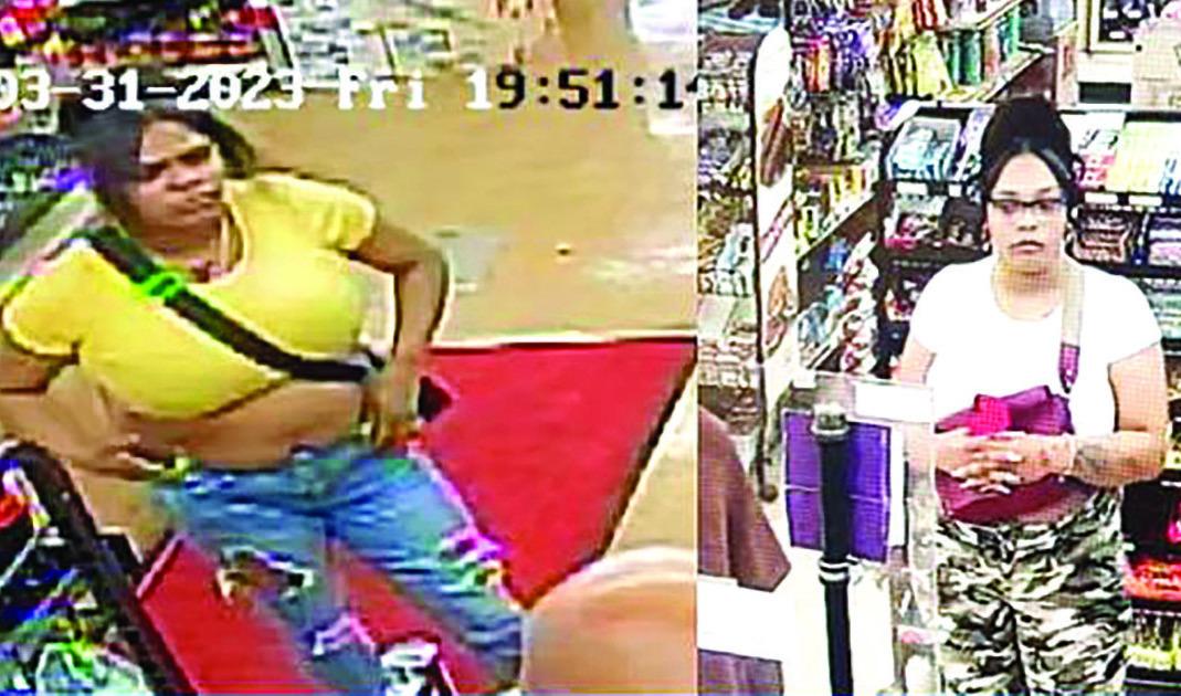 Police seek theft suspect