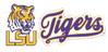 LSU hires Blake Baker as new DC, now highest-paid assistant in the country!