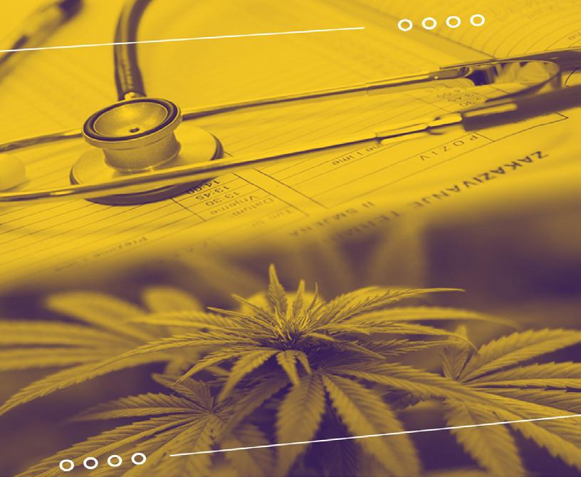 LSU Shreveport Offers Medical Cannabis Training for Counselors