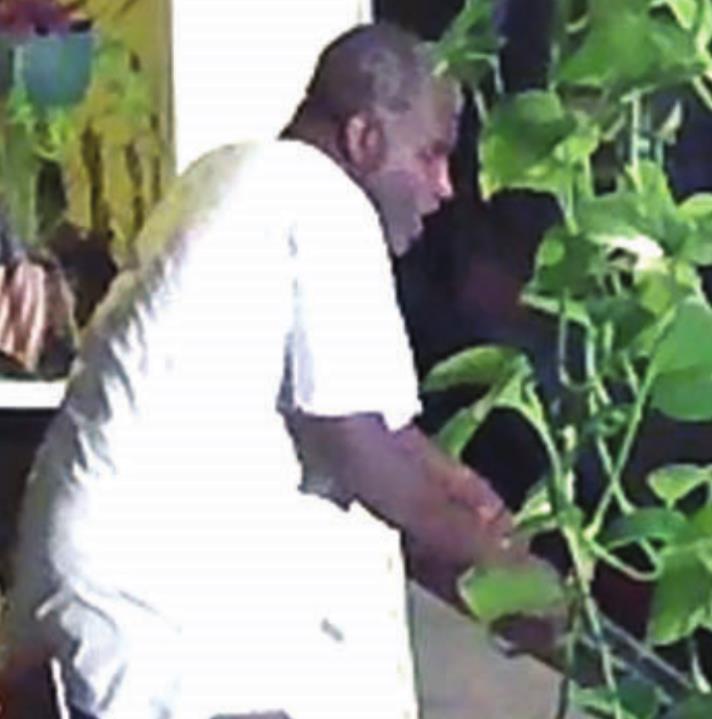 Vehicle burglary suspect sought