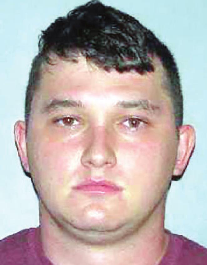 Sex offender sentenced to decade in prison