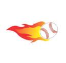 Houston Astros win World Series