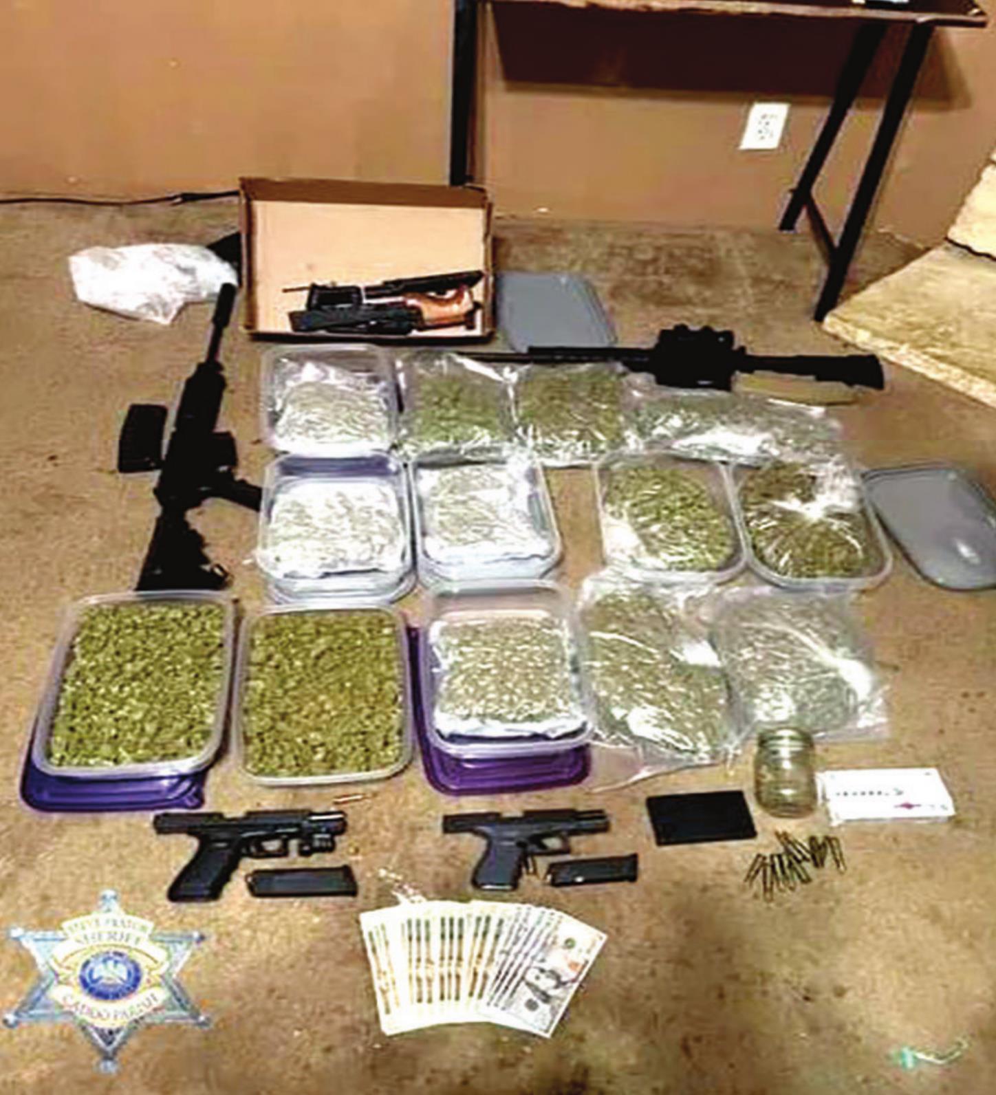 Dog mauling leads to seizure of drugs, gun