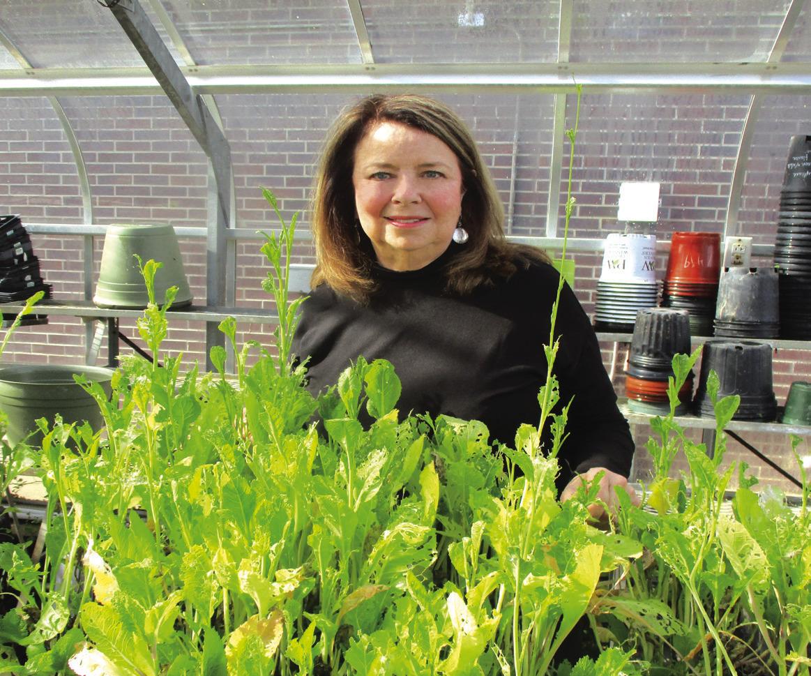 Donna Curtis: Keeping Shreveport clean and green