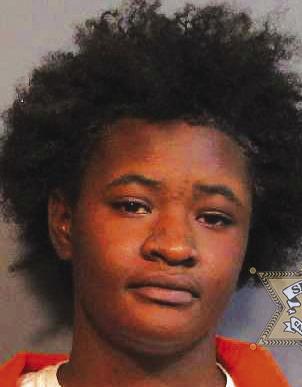 Woman Arrested After Incident During Traffic Stop!
