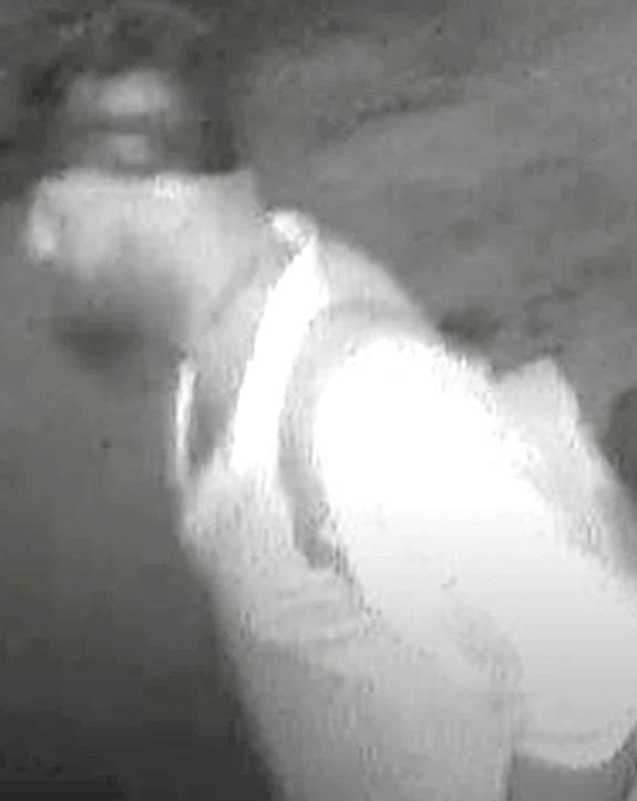 SPD looking for man who tried to break into liquor store