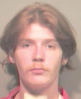 Man faces 1,695 child, animal sex charges