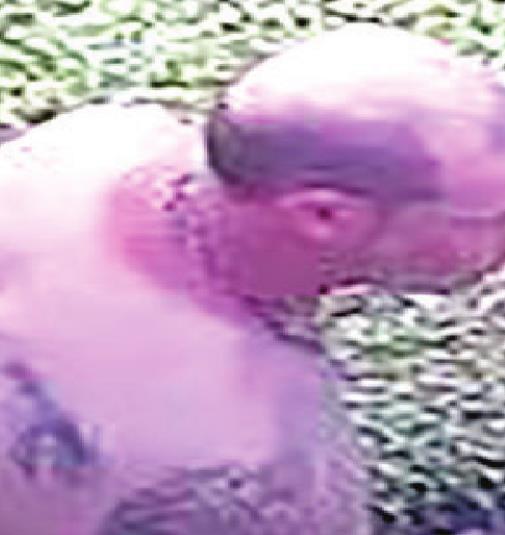 Police searching for man who exposed himself