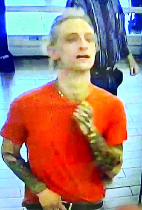 Police seek theft suspect