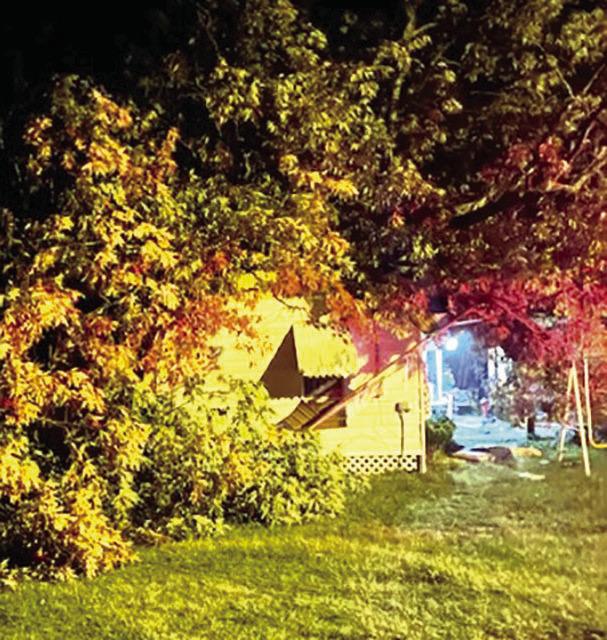 Tree falls on home