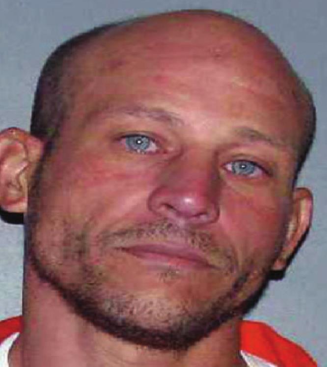 Local man charged with illegal drug, gun possession
