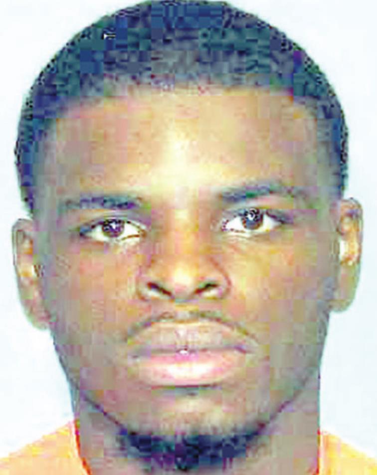 Pines Road homicide suspect in custody