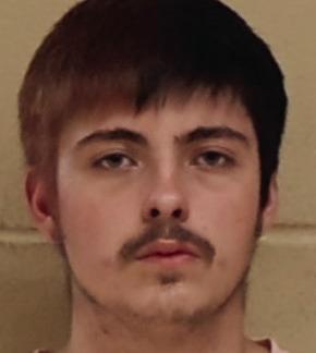 Joshua Arnold (17)