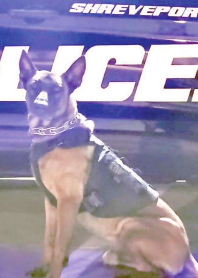 SPD K-9, civilian foil armed robbery